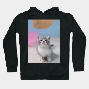 the little cute cats Hoodie